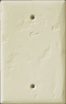 Hand Trowel Two Outlet Blank Plate